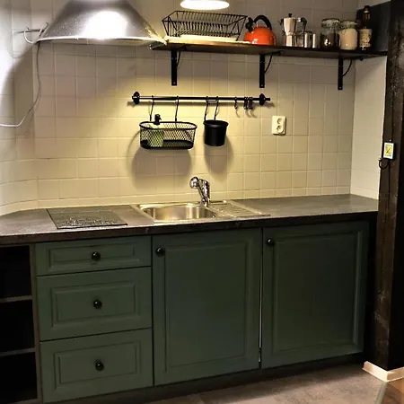 Daire Wonderful Spacious City Centre Apartment Krakow